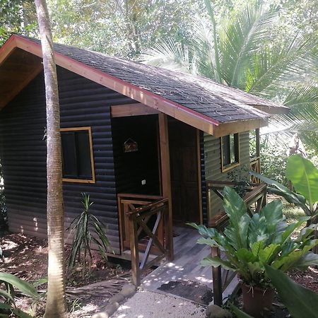 Casa El Colibri Bed & Breakfast Parrita Ruang foto