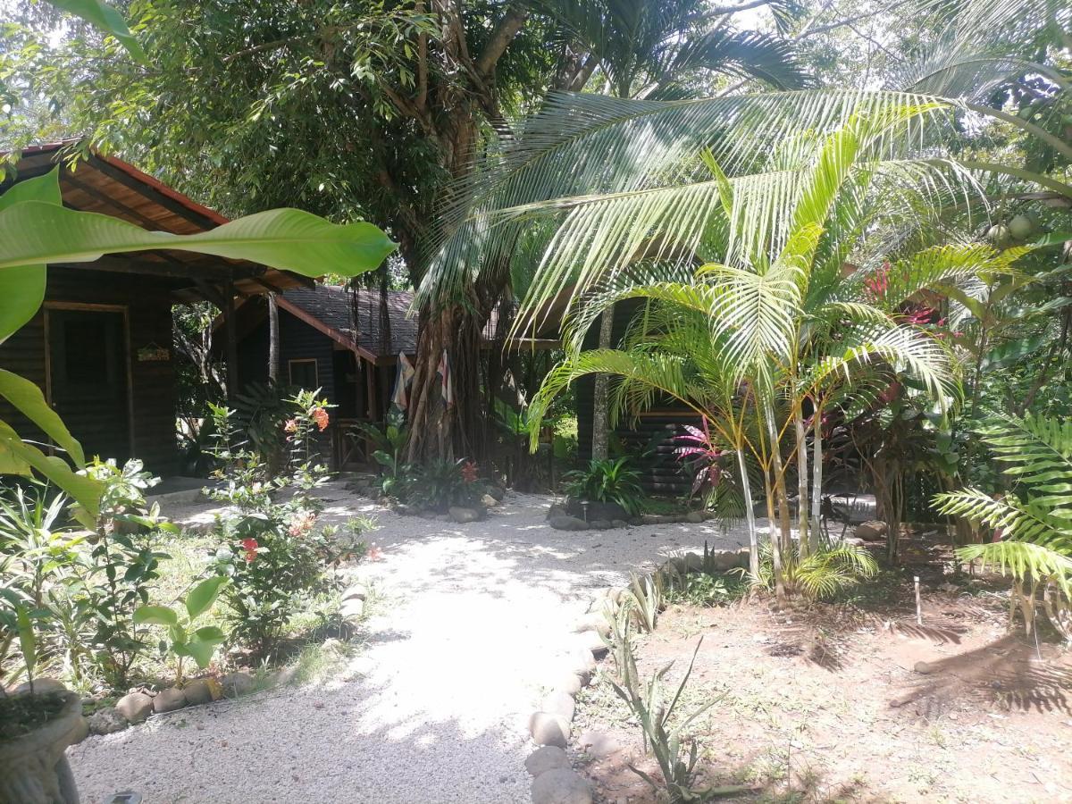 Casa El Colibri Bed & Breakfast Parrita Bagian luar foto