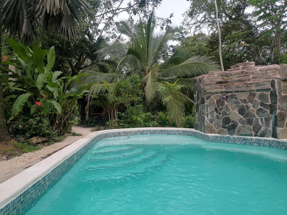 Casa El Colibri Bed & Breakfast Parrita Bagian luar foto