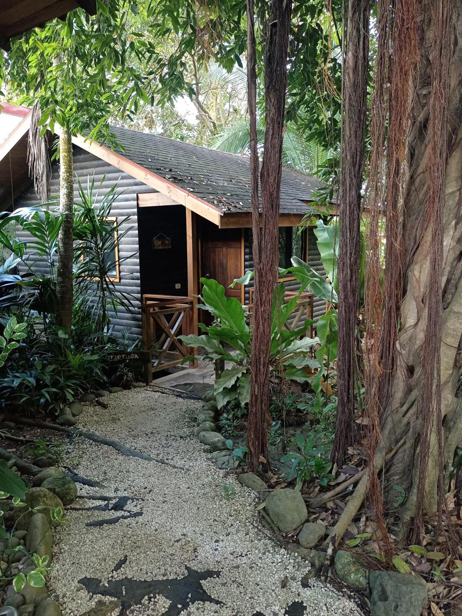 Casa El Colibri Bed & Breakfast Parrita Bagian luar foto